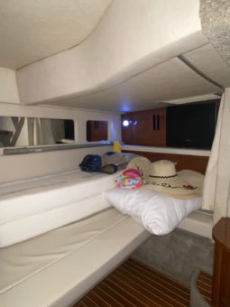 
										SEA RAY SUNDANCER 33 full									