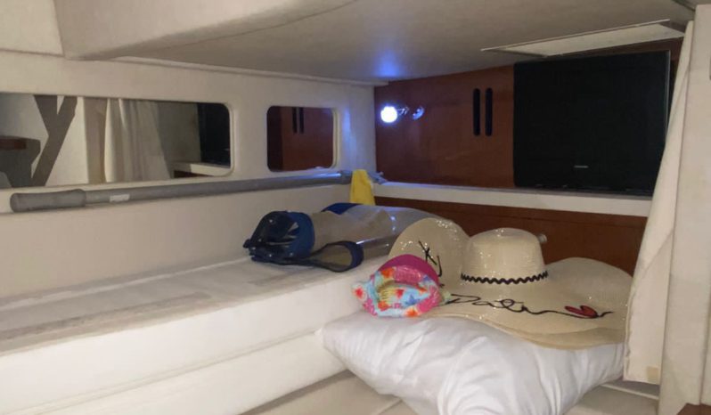 
								SEA RAY SUNDANCER 33 full									