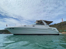 SEA RAY SUNDANCER 34, VENTA DE SEA RAY SUNDANCER 34, SEA RAY SUNDANCER 34 DE LECHERIA