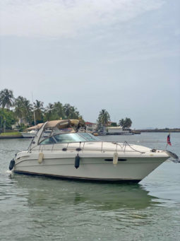 
										SEA RAY SUNDANCER 34 full									