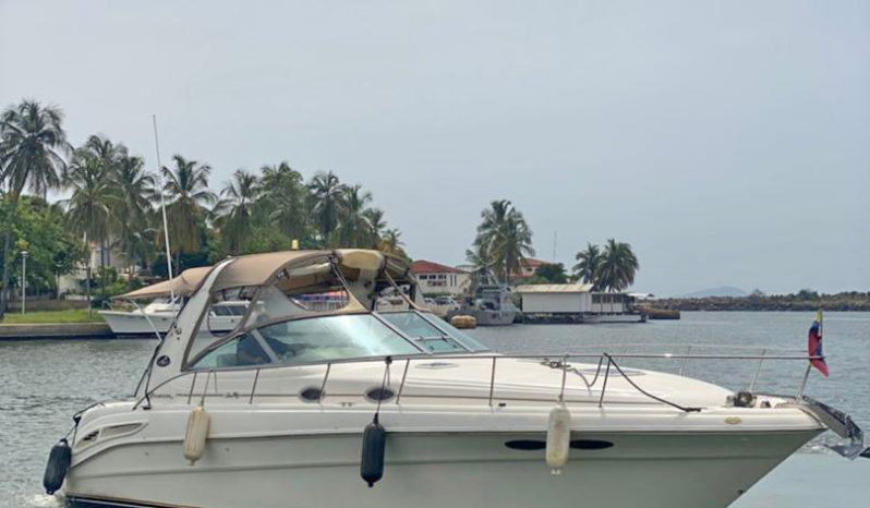 
								SEA RAY SUNDANCER 34 full									