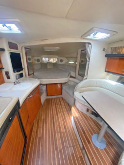 
										SEA RAY SUNDANCER 34 full									