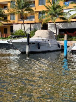 
										SEA RAY SUNDANCER 34 full									