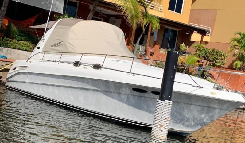 
								SEA RAY SUNDANCER 34 full									