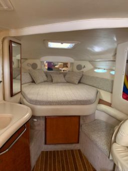 
										SEA RAY SUNDANCER 34 full									