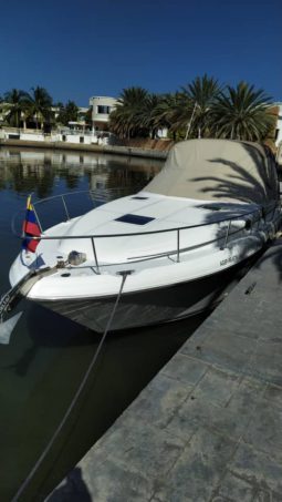 
										SEA RAY SUNDANCER 34 full									