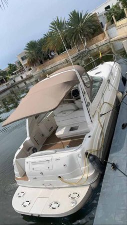 
										SEA RAY SUNDANCER 34 full									