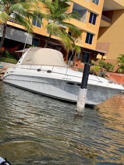 
										SEA RAY SUNDANCER 34 full									