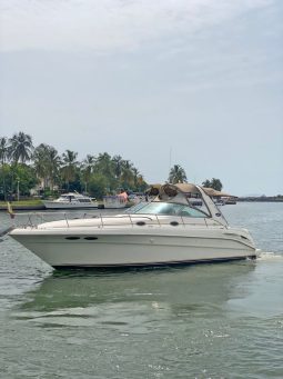 
										SEA RAY SUNDANCER 34 full									