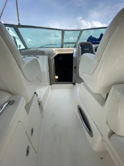 
										SEA RAY SUNDANCER 340 38 full									