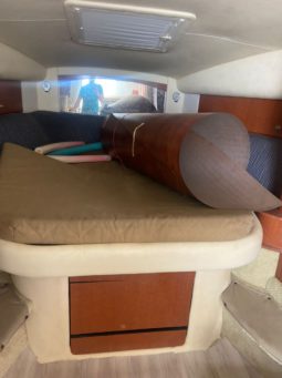 
										SEA RAY SUNDANCER 355 35 full									