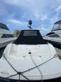 
										SEA RAY SUNDANCER 44 full									