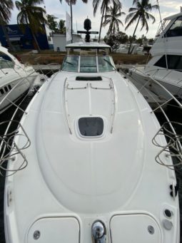 
										SEA RAY SUNDANCER 44 full									