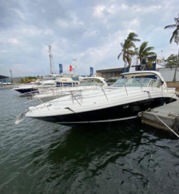 
										SEA RAY SUNDANCER 44 full									