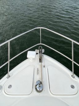 
										SEA RAY SUNDANCER 44 full									