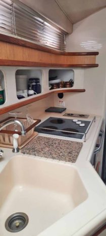 
								SEA RAY SUNDANCER 44 full									