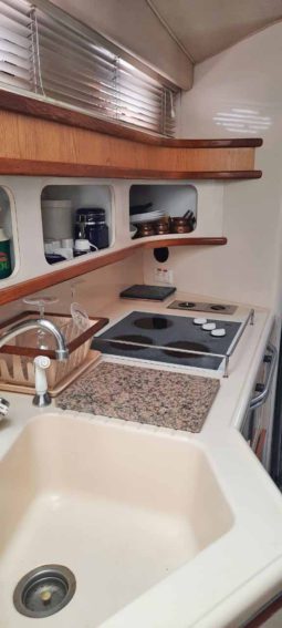 
										SEA RAY SUNDANCER 44 full									