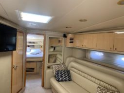 
										SEA RAY SUNDANCER 46 full									