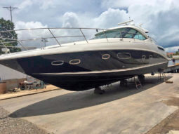 
										SEA RAY SUNDANCER 47 full									