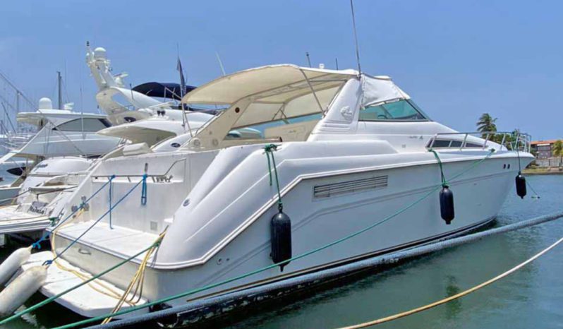 
								SEA RAY SUNDANCER 50 full									