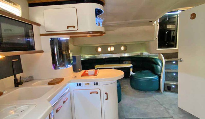 
								SEA RAY SUNDANCER 50 full									