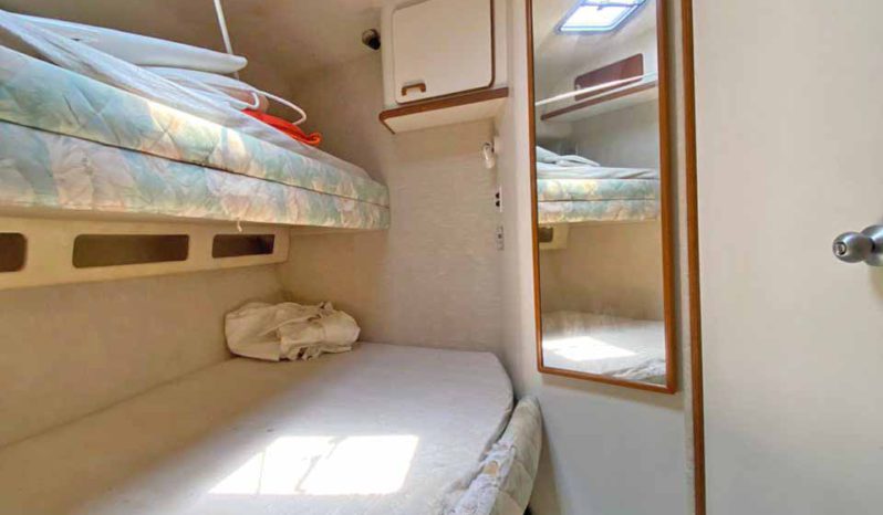 
								SEA RAY SUNDANCER 50 full									