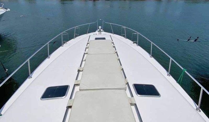 
								SEA RAY SUNDANCER 50 full									