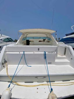 
										SEA RAY SUNDANCER 50 full									