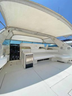 
										SEA RAY SUNDANCER 50 full									