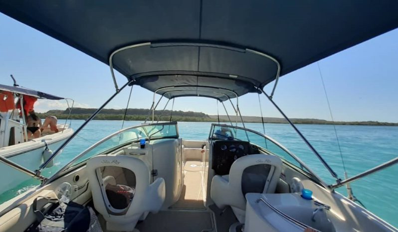 
								SEA RAY SUNDECK 260 26 full									