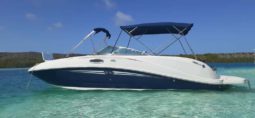 
										SEA RAY SUNDECK 260 26 full									