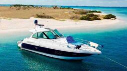 CRUISERS YACHTS SPORTS COUPE 42