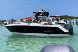 
										ROBALO R227 22 full									