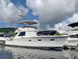 CHRIS CRAFT SPORTFISH 45.5