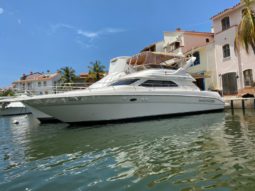 SEA RAY 45