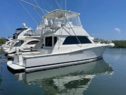 VIKING SPORT FISHERMAN 43